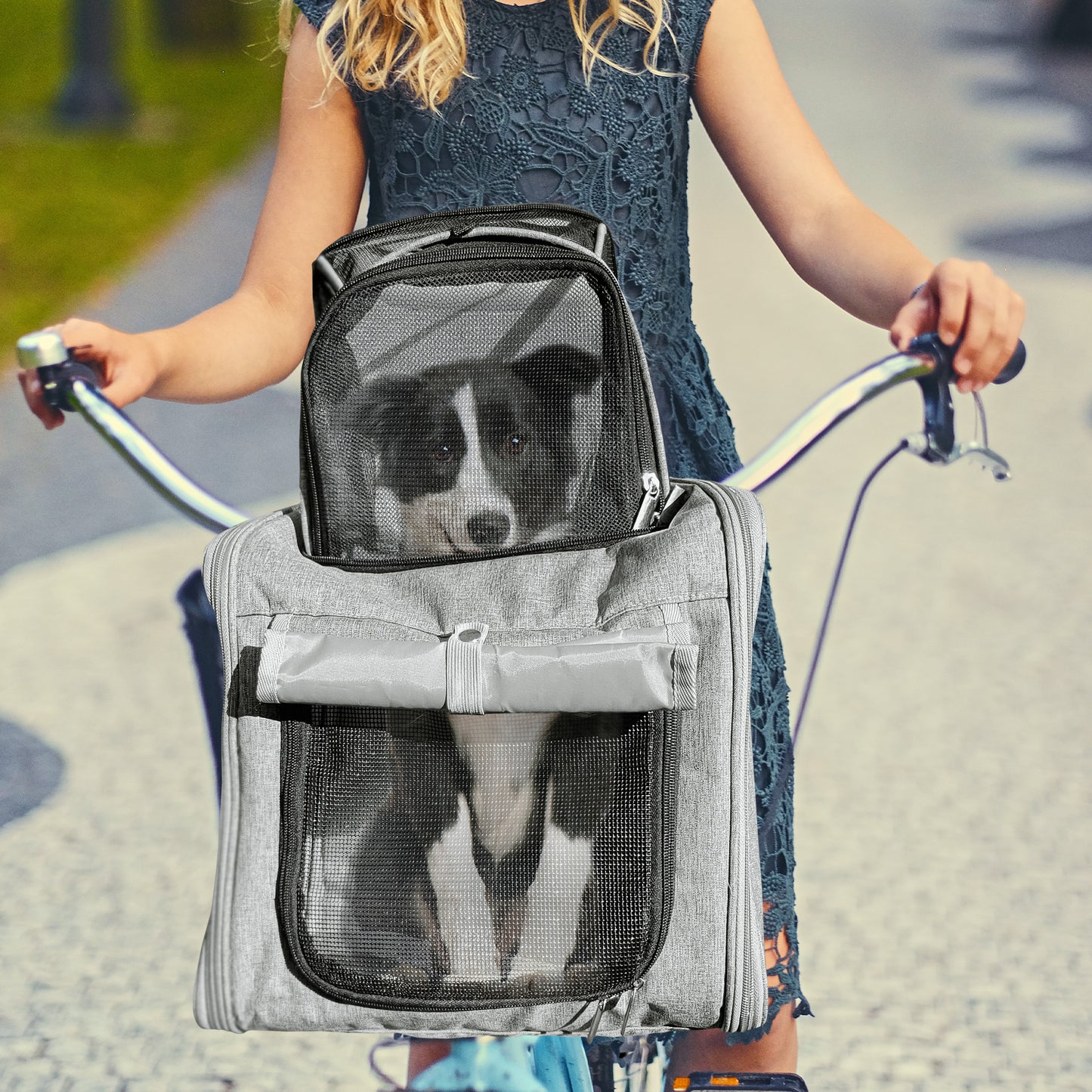 All-In-One Soft Pet Carrier