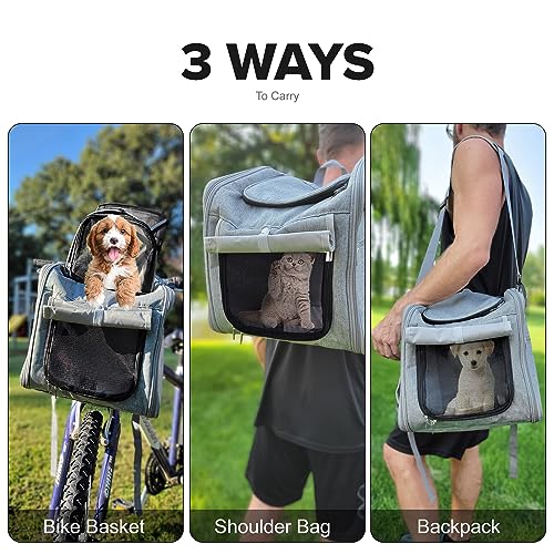 All-In-One Soft Pet Carrier